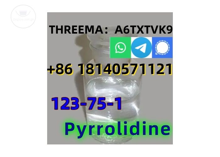  good quality Pyrrolidine CAS 123-75-1 factory supply with low price and fast shipping