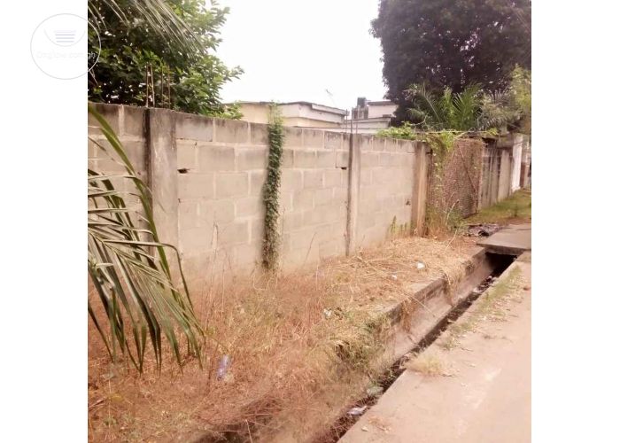 1 PLOT(80*100) OF FREEHOLD LAND FOR SALE AT TESANO
