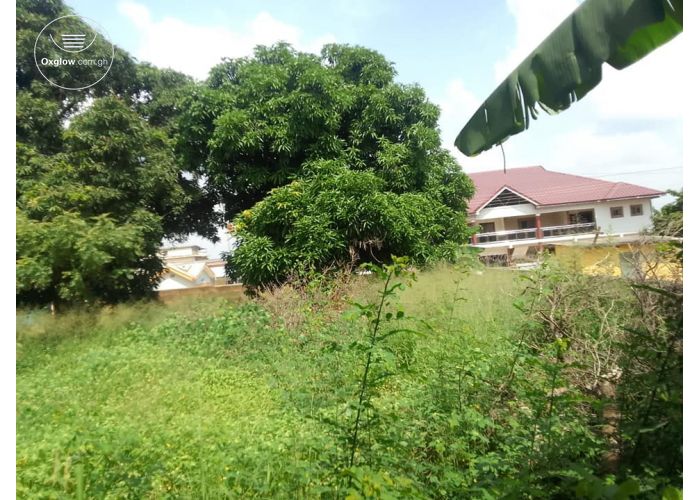 1 plot of land