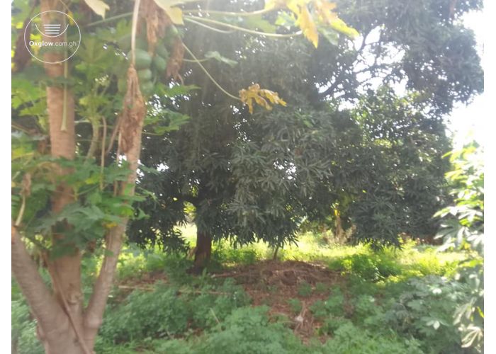 1 PLOT OF LAND