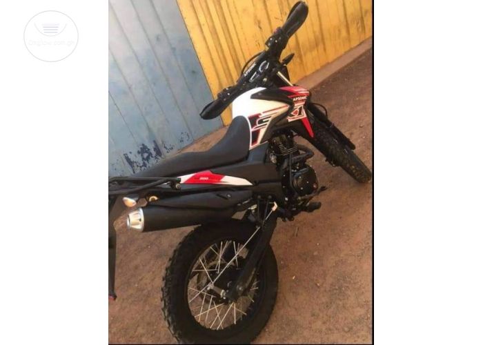 2022 Apsonic Jungle GY-7