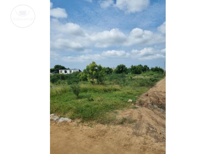 4 PLOTS OF REGISTERED LAND AVAILABLE FOR SALE AT LASHIBI, NEAR EMEF ESTATE