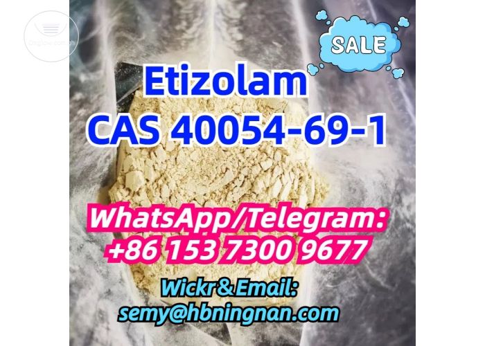 40054-69-1 Etizolam