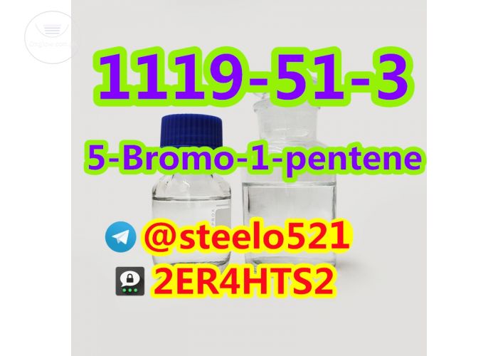 5-Bromo-1-pentene High Purity CAS 1119-51-3