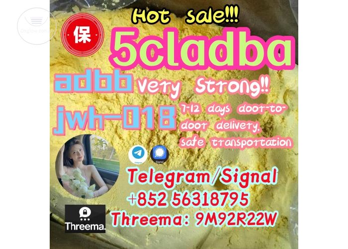 5cladba 5cl yellow powder 5cladba from best supplier