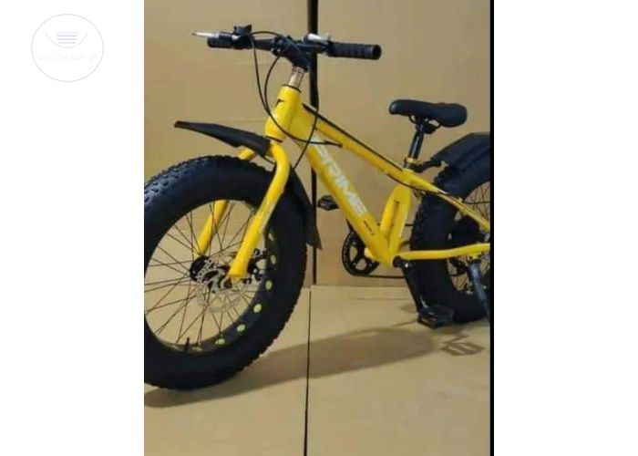 Bicycle