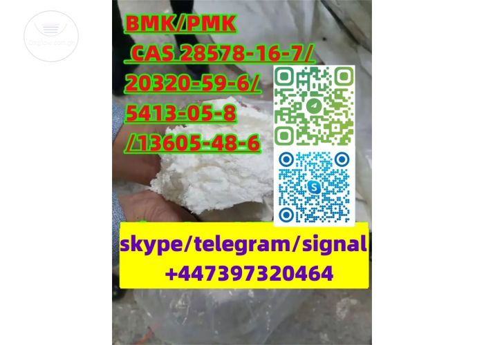 BMK/PMK CAS 28578-16-7/20320-59-6/5413-05-8/13605-48-6