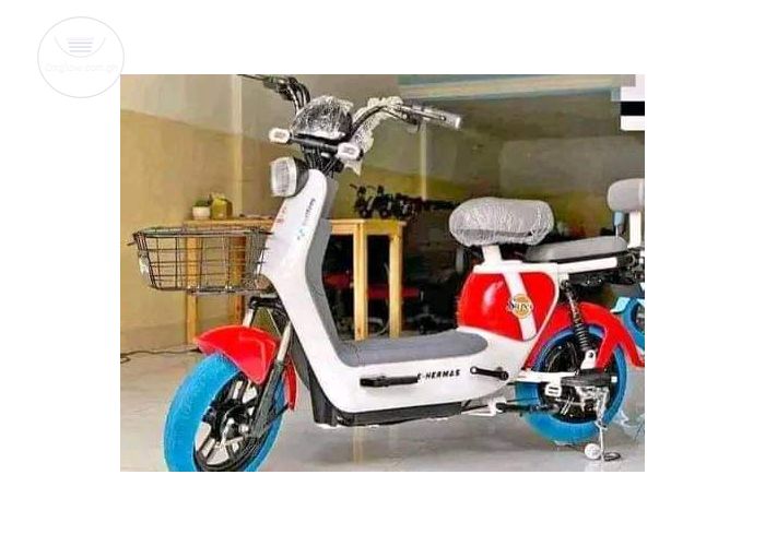 Brand New Electronic bike