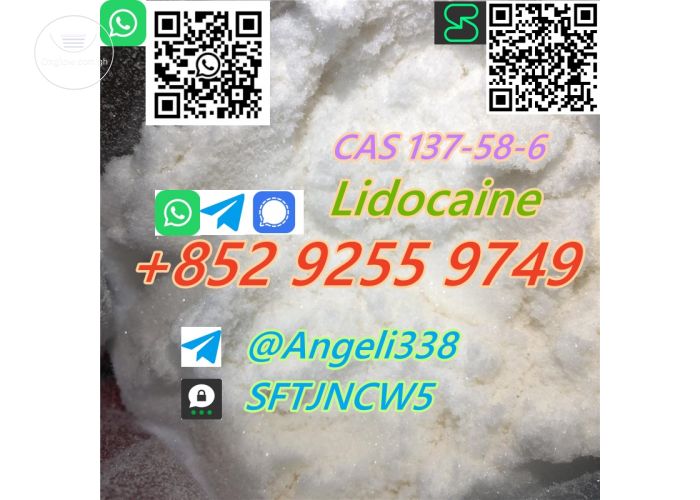 CAS 137-58-6 Lidocaine  tele@Angeli338 99% purity