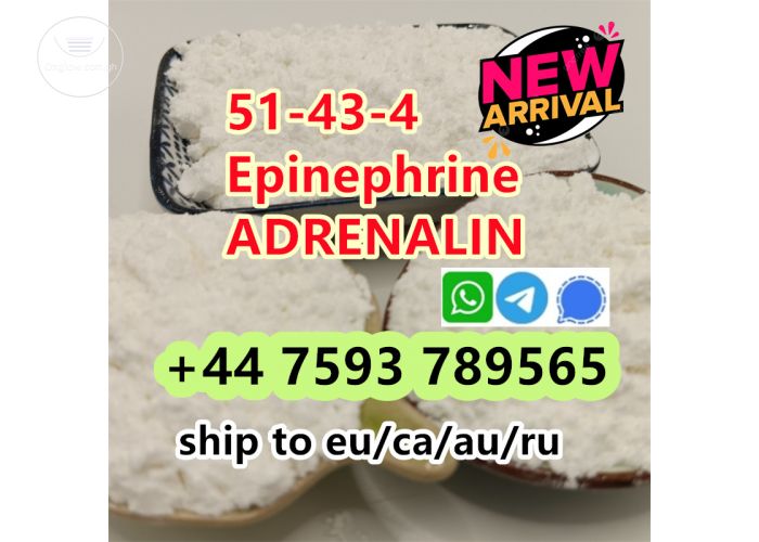 cas 51-43-4 Epinephrine powder 