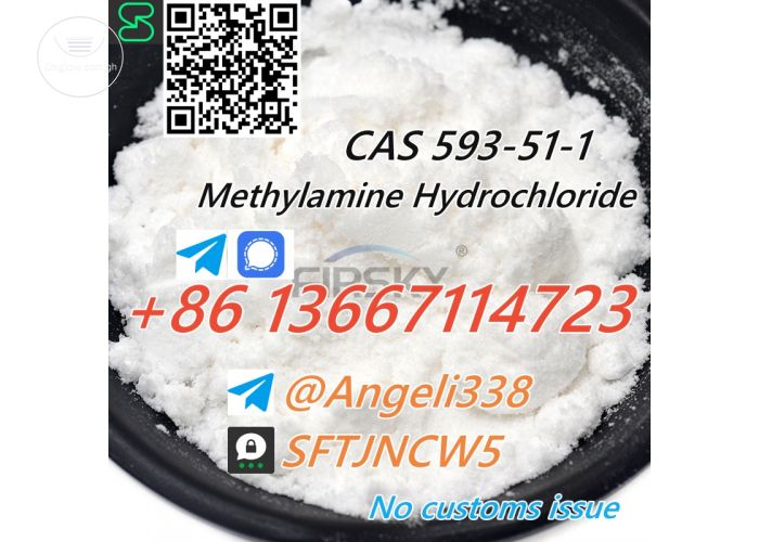 CAS 593-51-1 Methylamine Hydrochloride(hcl)  Threema: SFTJNCW5