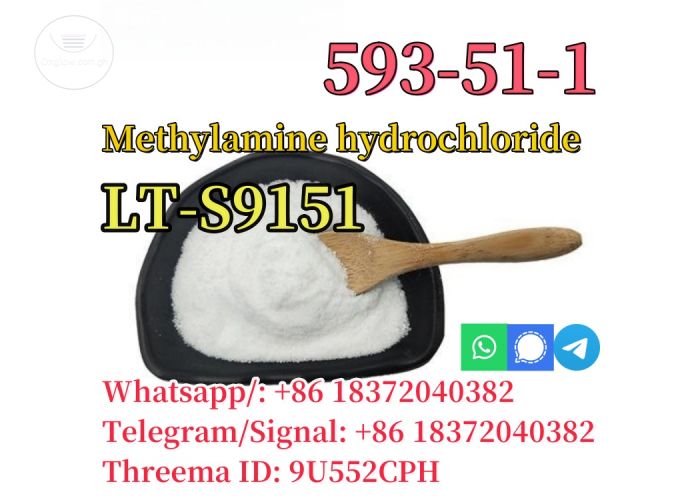 CAS 593-51-1 Methylamine hydrochloride LT-S9151 good price with high quality
