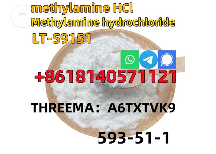 CAS 593-51-1 Methylamine hydrochloride LT-S9151 good price with high qualtiy