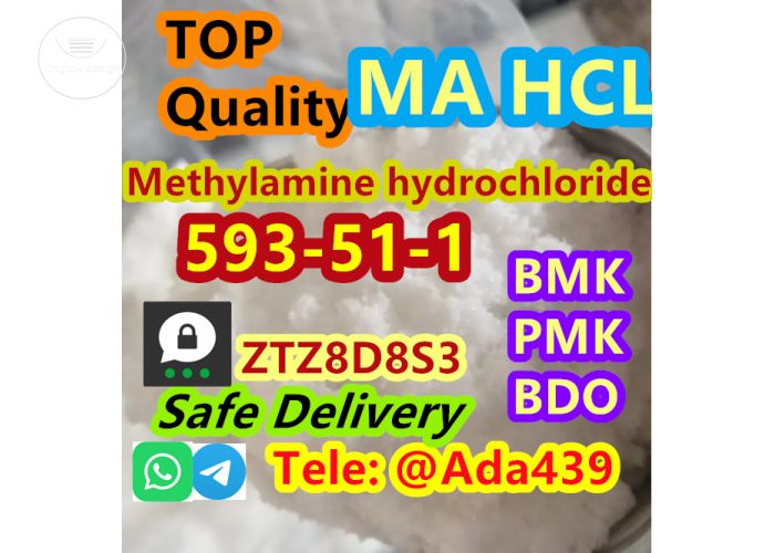 CAS 593-51-1 Methylamine hydrochloride WhatsApp+8613297917395