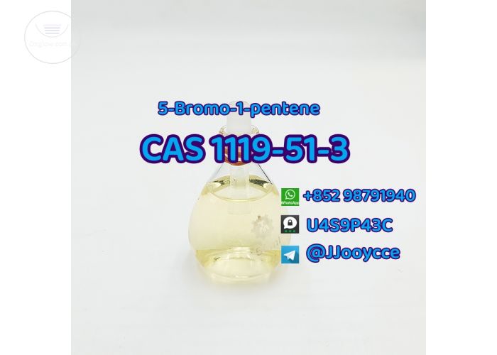 CAS 1119-51-3 5-Bromo-1-pentene with safe delivery