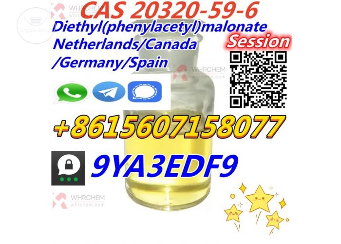 CAS20320-59-6 Diethyl(phenylacetyl)malonate 2-3 Days Delivery Canada Germany United States Australia Warehouse Supply 