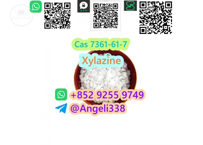 China factory supplier  Cas 7361-61-7 Xylazine  Whatsapp: +852 9255 9749