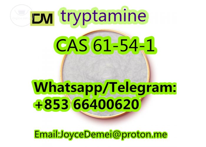 Chinese Factory supply White Powder Tryptamine CAS 61-54-1 with best price and 100% save delivery