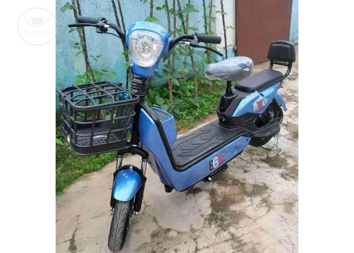 Electric Bicycle