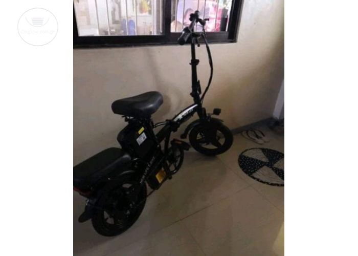 Electric bike with charger