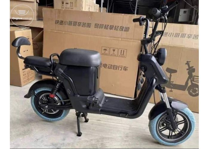 Electric motorbike