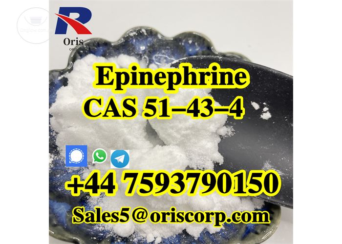 Epinephrine powder CAS 51-43-4  Pharmaceutical Material 99% Assay 