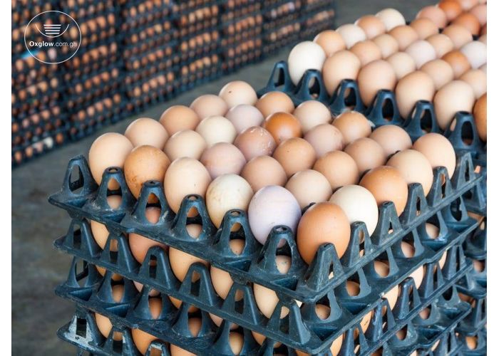 Fresh Eggs Available