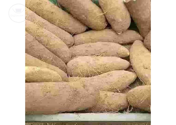 Fresh Yams Pona