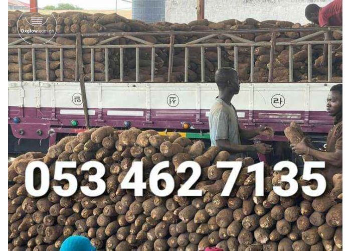 Fresh Yams Pona