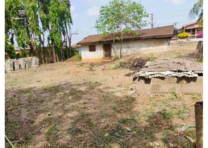 Full Plot of Land 