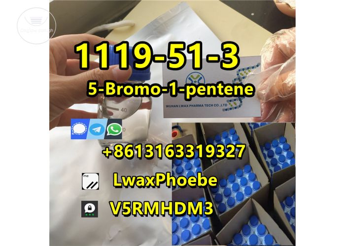 Good price 5BP Cas 1119-51-3 5-Bromo-1-pentene