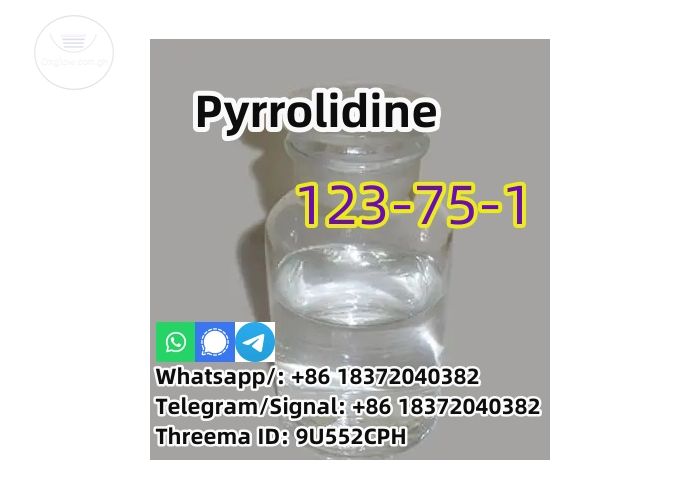 good quality Pyrrolidine CAS 123-75-1 factory supply with low price and fast shipping