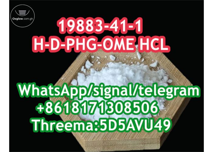 H-D-PHG-OME HCL best price CAS 19883â€“41â€“1 supply