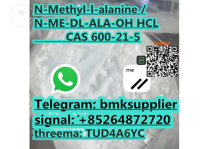 High Quality 99% N-Methyl-Dl-Alanine Powder CAS 600-21-5 N-Methyl-Dl-Alanine