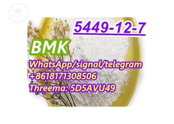 High Quality Glycidic Acid (sodium salt) BMK Powder 5449-12-7