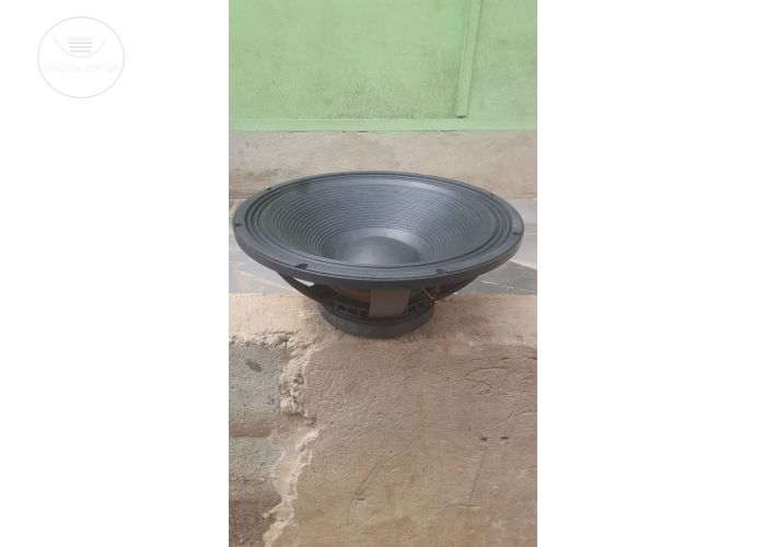 Home Use 18 Inches 2000 Watts Naked Speaker
