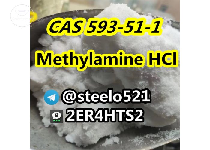 Hot in EU Methylamine hcl cas 593-51-1 tele@steelo521