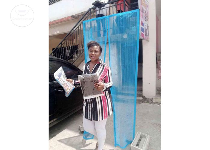 Magnetic Door Mesh