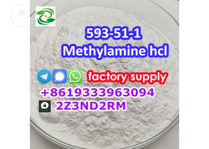 methylamine hydrochloride cas 593-51-1 with fast delivery