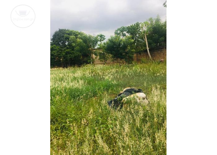 More than 1 plot (80*125) of Titled Land for sale at Madina Local Government Area, Near UPSA.