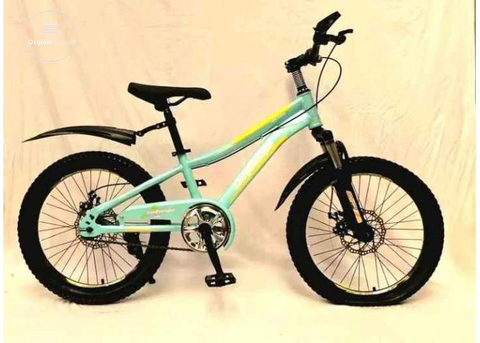 Mountain bicycle