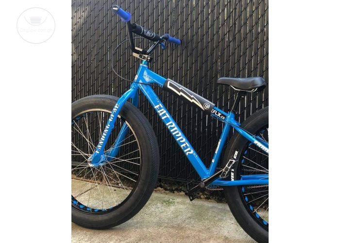 Mountain bike