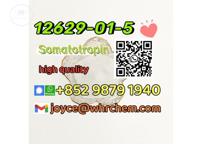Popular safe and high quality Somatotropin cas 12629-01-5 safe delivery