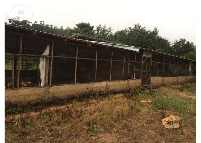 POULTRY FARM ON 5 PLOTS AT KASOA BAWJIASE ROAD