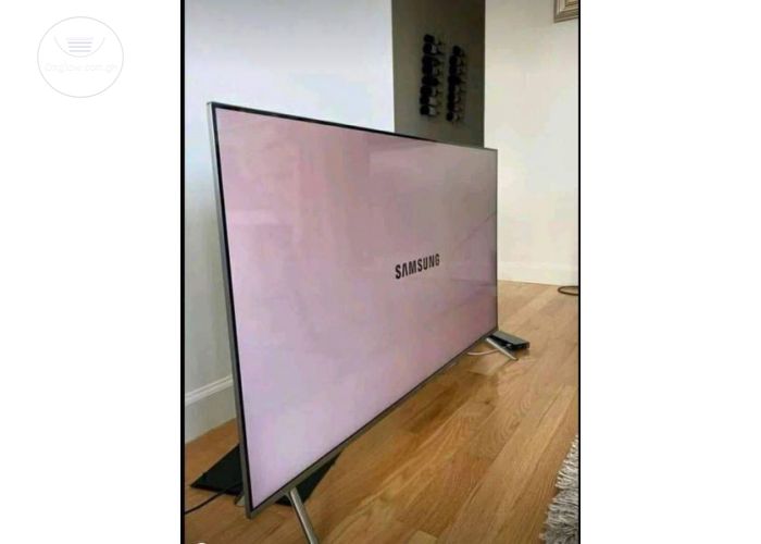 Samsung 55" Digital TV