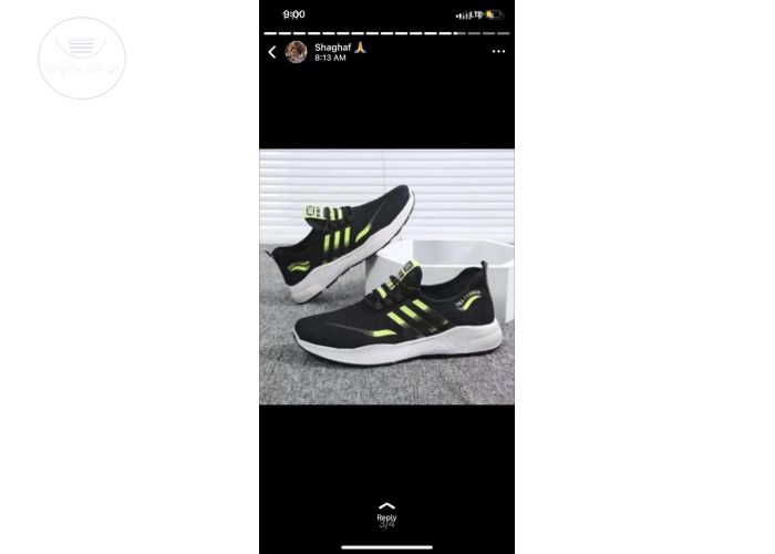 Vans shoes