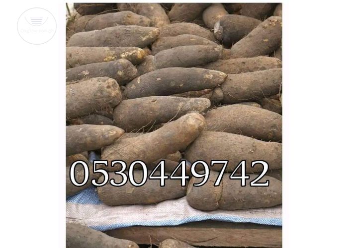 YAM