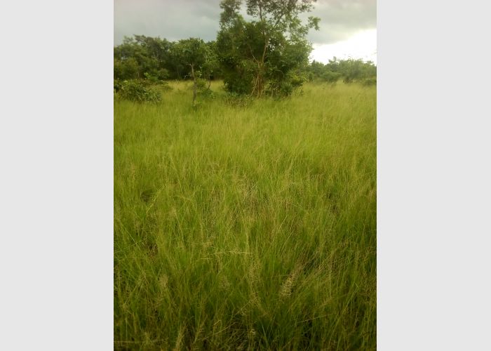 Land for sale