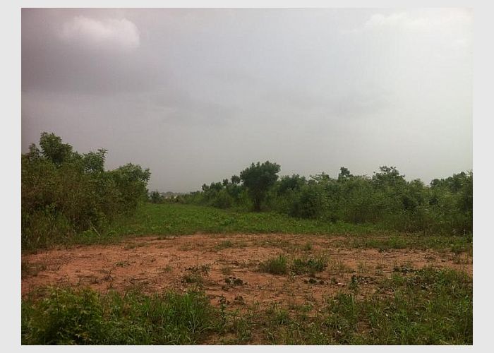 Land for sale at Koforidua