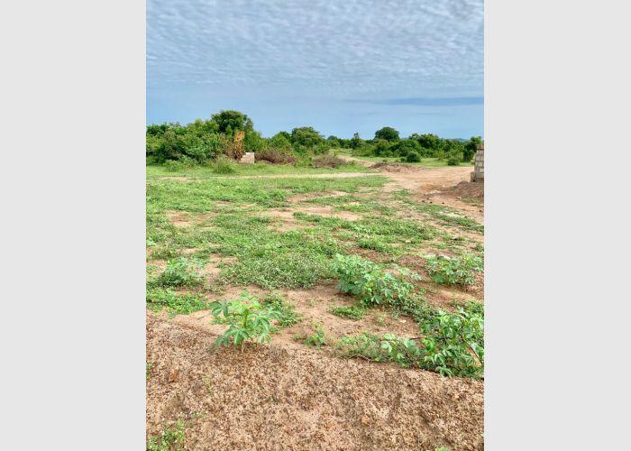 Remarkable Property for sale @ Dawa